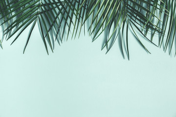 Summer composition. Tropical palm leaves on pastel blue background. Summer concept. Flat lay, top view, copy space
