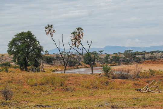 River against an arid background, Ewaso Nyiro River in Samburu National Reserve, Kenya