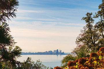 View of the city from the forest
