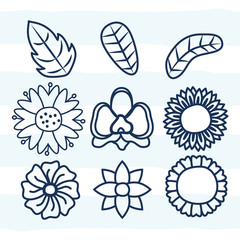 flowers leaves flora