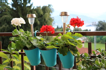 Solar lights and flowers of geraniums on the balcony