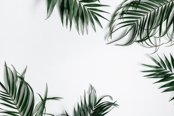 Fototapeta na wymiar Summer composition. Tropical palm leaf on pastel gray background. Summer concept. Flat lay, top view, copy space