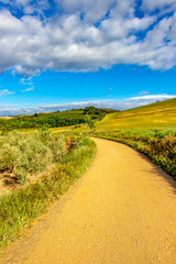 Fototapeta na wymiar Unpaved country road on the Way of St. James, Camino de Santiago between Los Arcos and Sansol in Navarre, Spain, sunny May day
