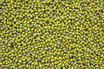 Mung bean or Green bean background