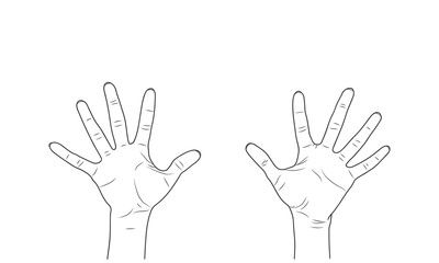 Vector sketch illustration - women's hands.