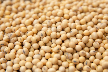 close up soybean pattern as background