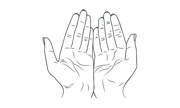 Cartoon hands with palms facing up two drawn Vector Image