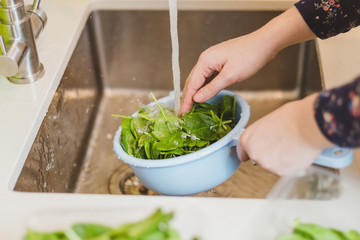 Washing spinach leaves in the kitchen