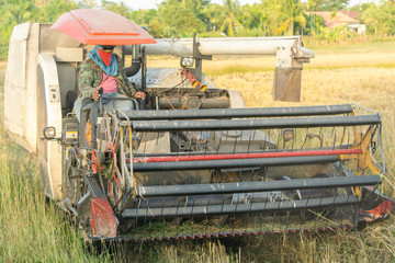 NAKHON PHANOM, THAILAND - NOV 18, 2018 : Harvester machine working harvesting rice in the field.