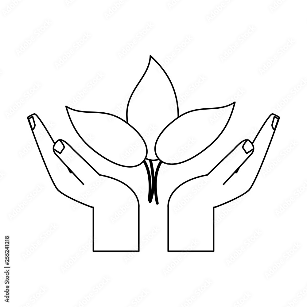 Wall mural hands protecting leaves plant symbol in black and white