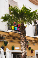 Street szene in Cadiz,