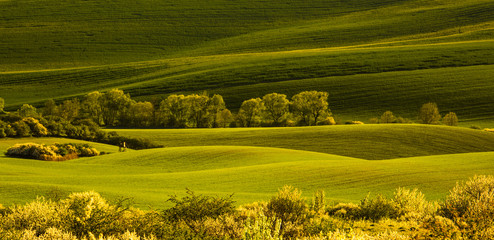 Moravian Tuscany in spring