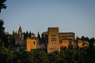 Fototapeta na wymiar The Alhambra of Granada. Spain
