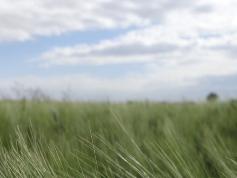 agricultura parcelas  