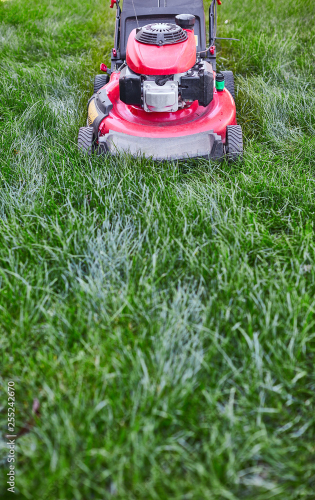 Wall mural lawn mover on grass