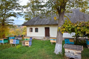 small apiary with colorful hives in a yard of traditional old country house, cloudy autumn day, green ecological tourism