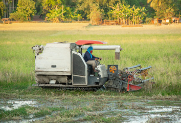 NAKHON PHANOM, THAILAND - NOV 18, 2018 : Harvester machine working harvesting rice in the field.