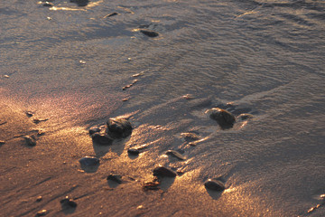 Rocks on beach in sunset light