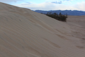 hiking in the desert