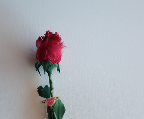 dry roses ( background for lovers day) 