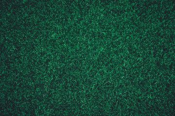 Green grass texture background. nature dark green tone background. Top view with copy space.