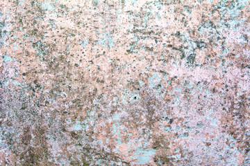  old brick pink blye wall style texture background