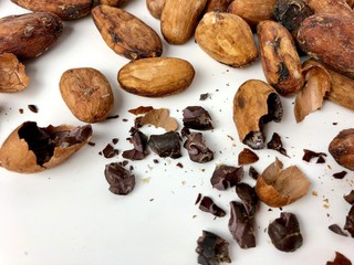 Cacao beans and nibs 
