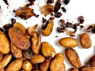 Cacao beans and nibs 