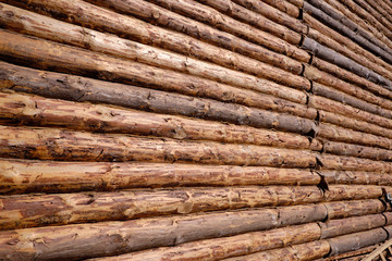 New wooden blockhouse. Construction of a house or dwelling. Walls of round treated pine trunks. The angle of the structure. The method of laying