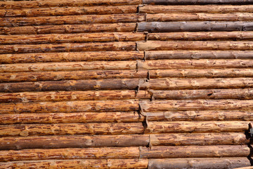 New wooden blockhouse. Construction of a house or dwelling. Walls of round treated pine trunks. The angle of the structure. The method of laying