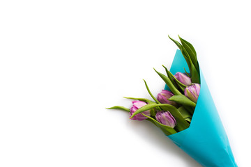 Fresh bouquet of five tulips wrapped in blue paper isolated on white background. Spring flowers.