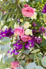 white and pink flowers