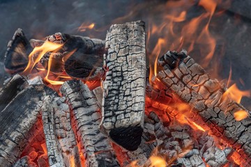 Fire in macro view