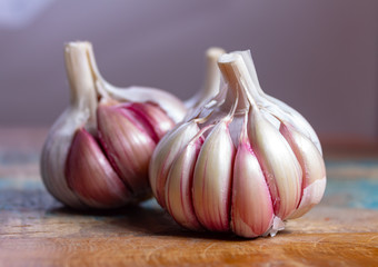 Three bulbs of fresh violet French garlic close up