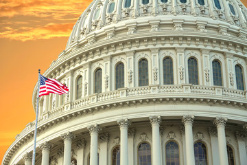 The United States Capitol in Washington, DC.