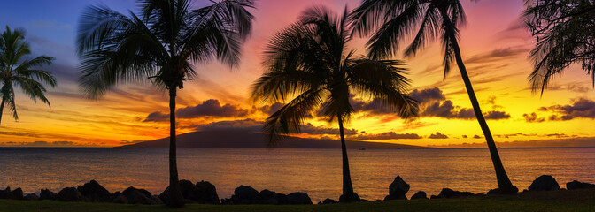 Hawaii sunset with palm trees