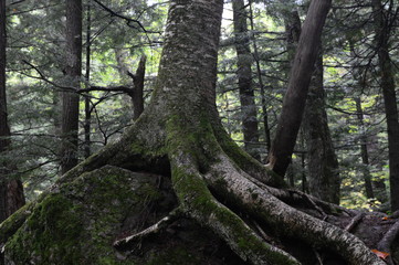 Backpacking, Wilderness, roadtrip, Hiking, Michigan, Porcupine Mountains, Rivers