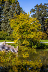 Naklejka premium Lake and trees in Lednice castle park