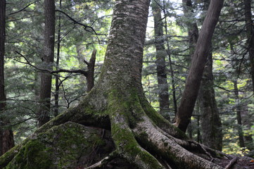 Backpacking, Wilderness, roadtrip, Hiking, Michigan, Porcupine Mountains, Rivers