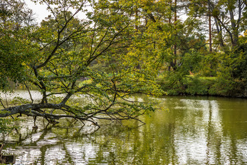 Fototapeta na wymiar Lake and trees in Lednice castle park