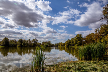 Lake and trees in Lednice castle park