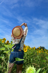 Mädchen von hinten steht mit nach oben gestreckten Armen  im Sonnenblumen Feld mit viel  blauem...