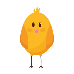 cute chick bird