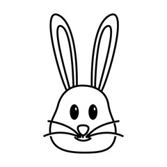 cute rabbit face