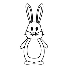 cute rabbit cartoon