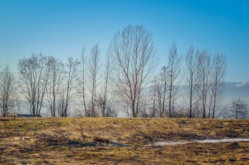 Beautiful rural mountain landscape. A glade with a view of trees.