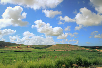 Fototapeta premium CIELO