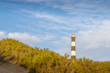 Fototapeta na wymiar Lighthouse at sunset in Buenos Aires near Atlantic Ocean