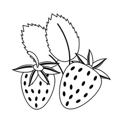 Fototapeta premium strawberries fruit fresh food in black and white