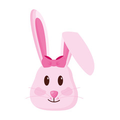 cute rabbit face